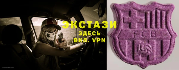 скорость Каменка