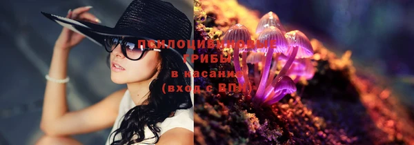 экстази Каменногорск