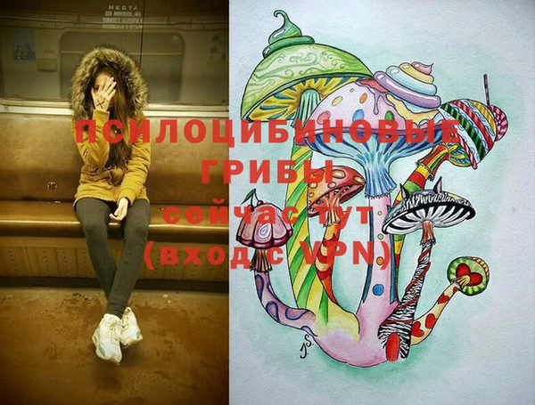 индика Каменск-Шахтинский