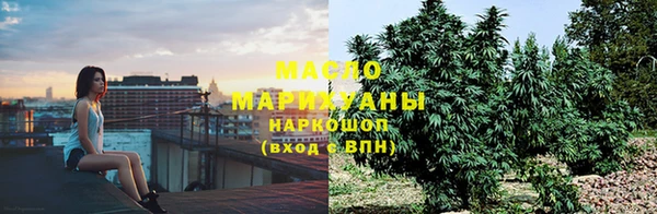 скорость Каменка
