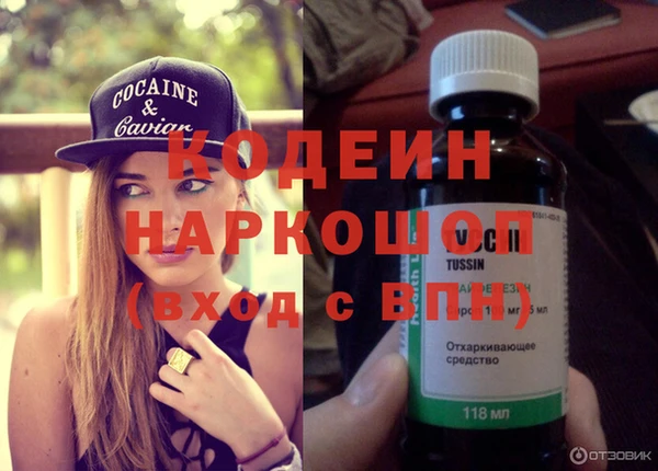 индика Каменск-Шахтинский