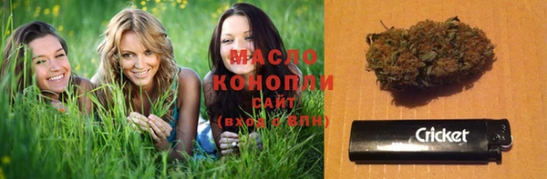 скорость Каменка