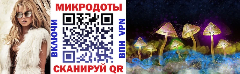 Купить  Пошехонье  Галлюциногенные грибы GOLDEN TEACHER 